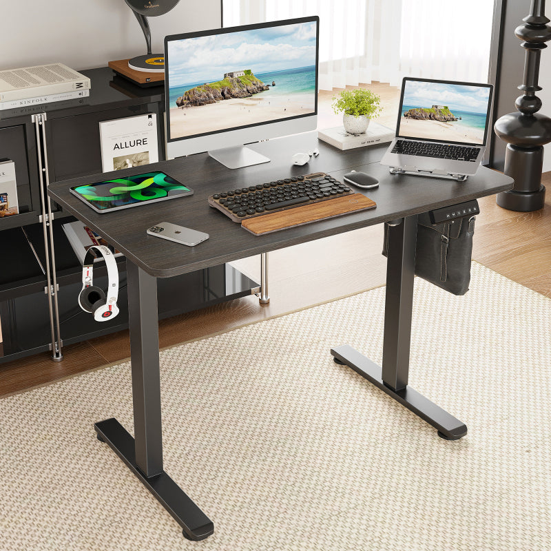 STARY Modern Electric Standing Desk Home Office Sit-Stand