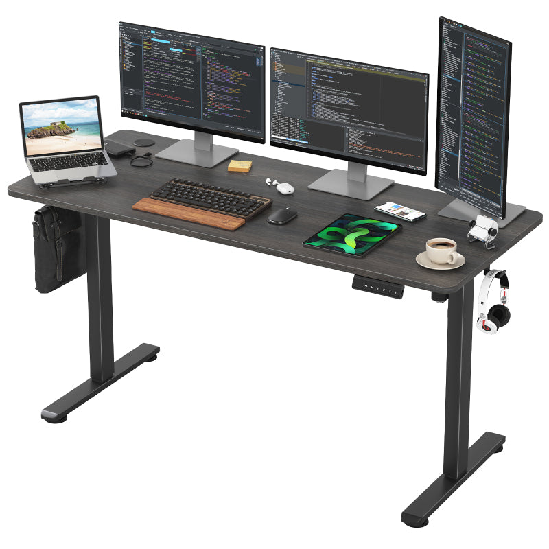 STARY Modern Electric Standing Desk Home Office Sit-Stand