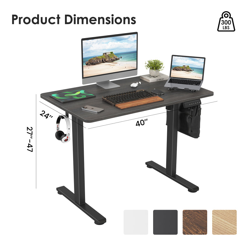 STARY Modern Electric Standing Desk Home Office Sit-Stand
