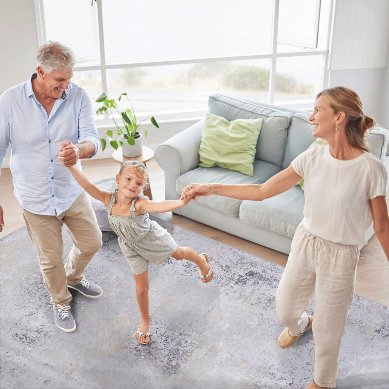 NAAR MAVAL Gray & Gold 5x8 Area Rug, Living Room, Washable
