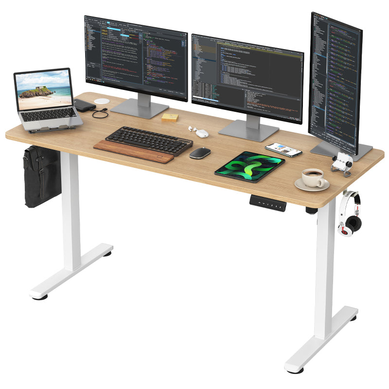 STARY Modern Electric Standing Desk Home Office Sit-Stand