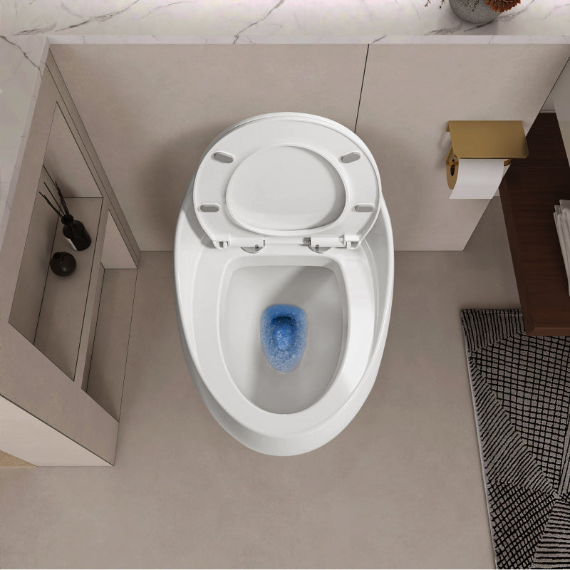 Modern Egg-Shape Bathroom Toilet, Water-Saving 1.28 GPF