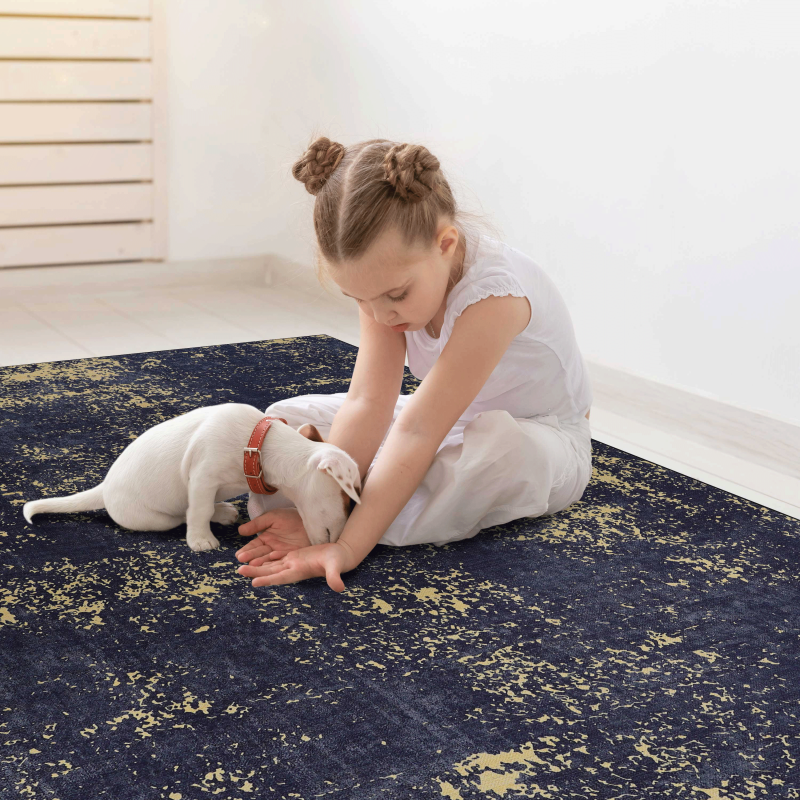 NAAR MAVAL Modern 5x8 Area Rug for Living Room, Washable
