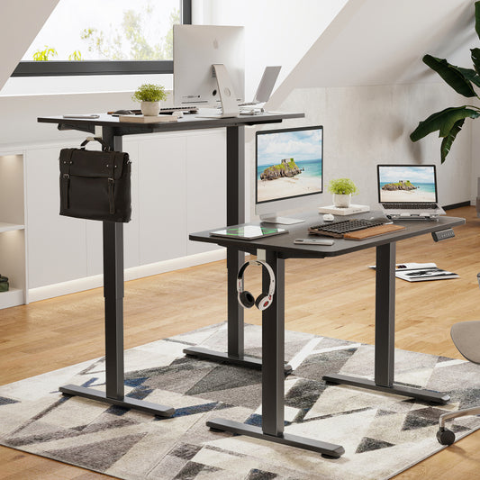 STARY Modern Electric Standing Desk Home Office Sit-Stand