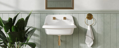 ELLAI Farmhouse Wall-Mount Laundry Sink with High Back