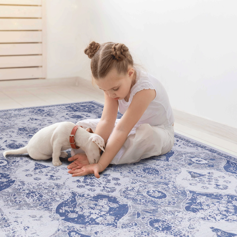 NAAR MAVAL Blue Doormat Rug for Front Door, Washable 2' x 3'