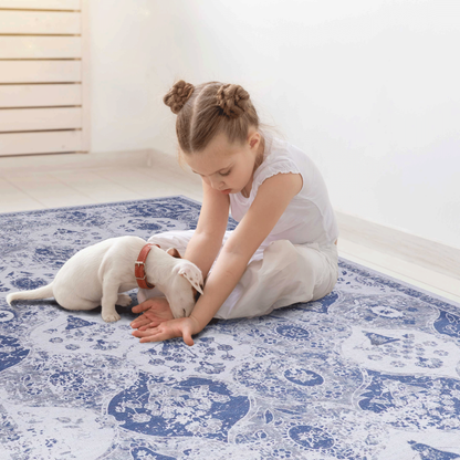 NAAR MAVAL Blue Doormat Rug for Front Door, Washable 2' x 3'