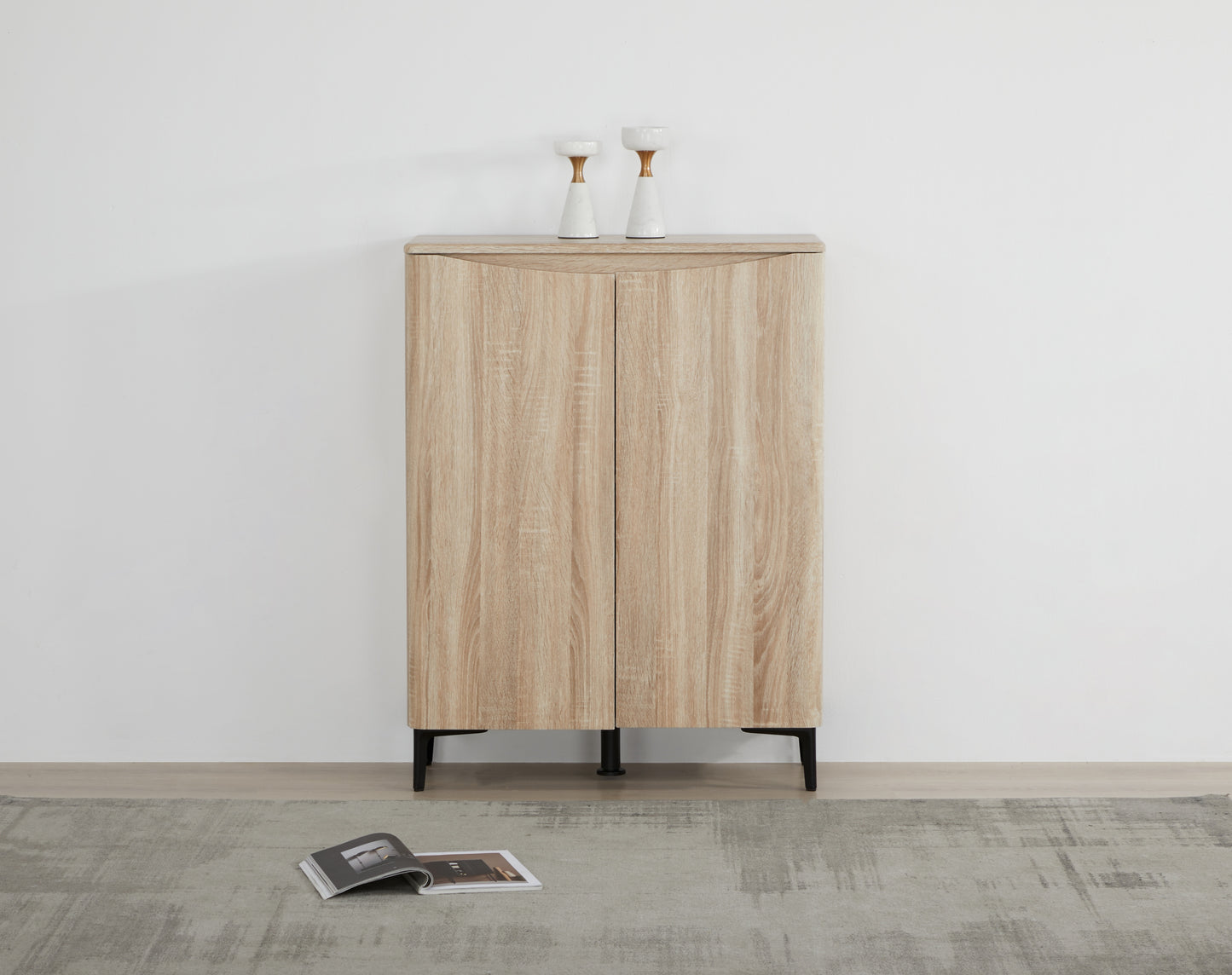 Zarelia Modern Shoe Storage Cabinet