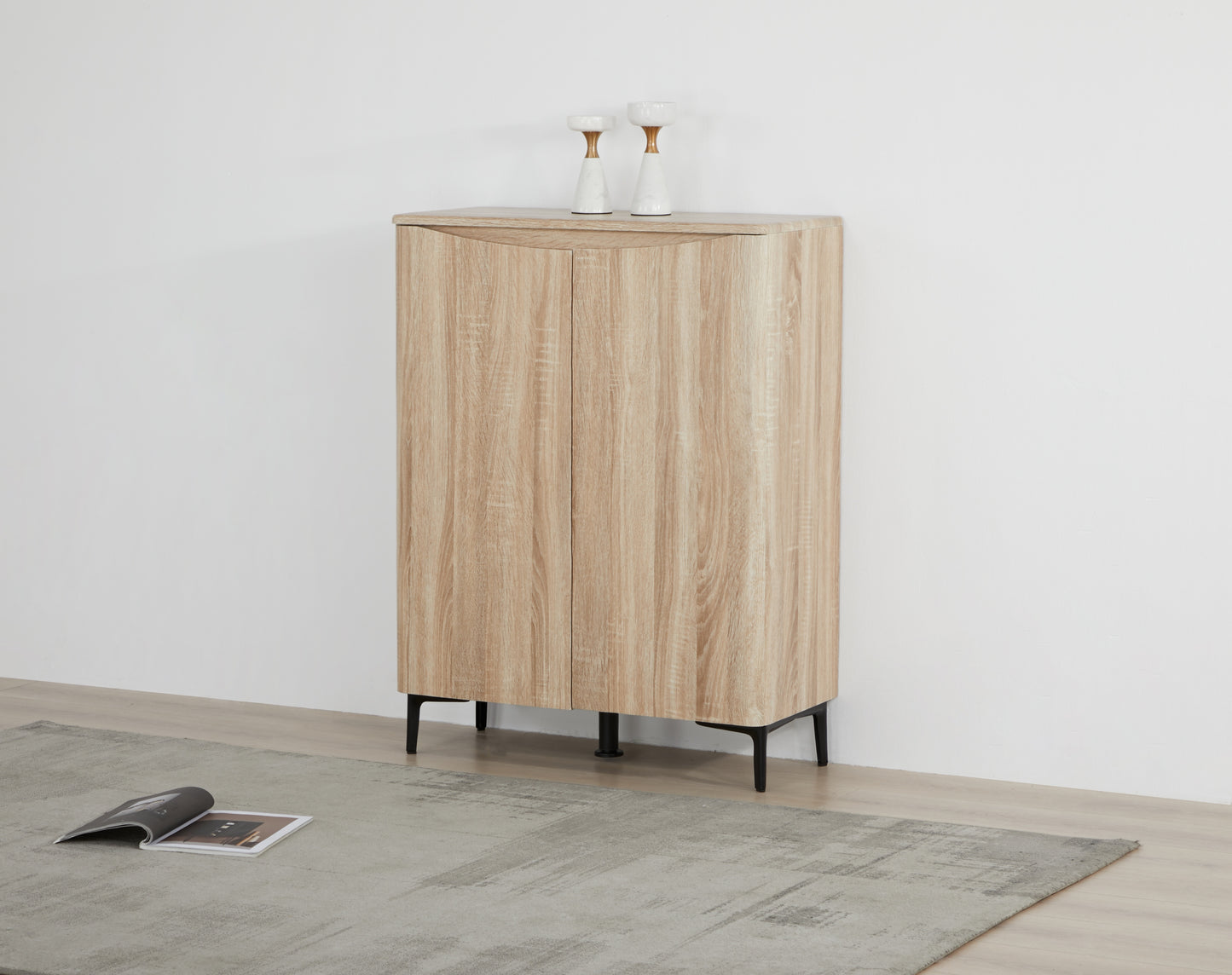 Zarelia Modern Shoe Storage Cabinet