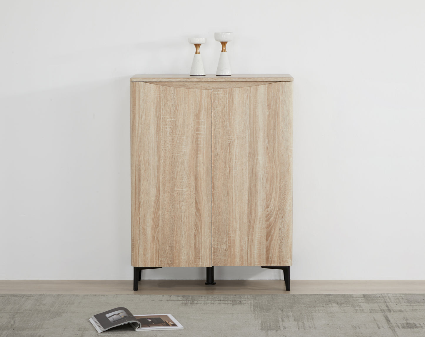 Zarelia Modern Shoe Storage Cabinet