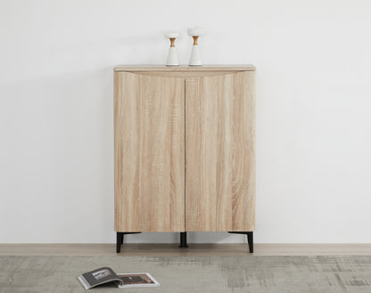 Zarelia Modern Shoe Storage Cabinet
