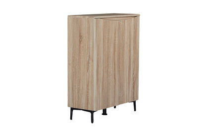 Zarelia Modern Shoe Storage Cabinet