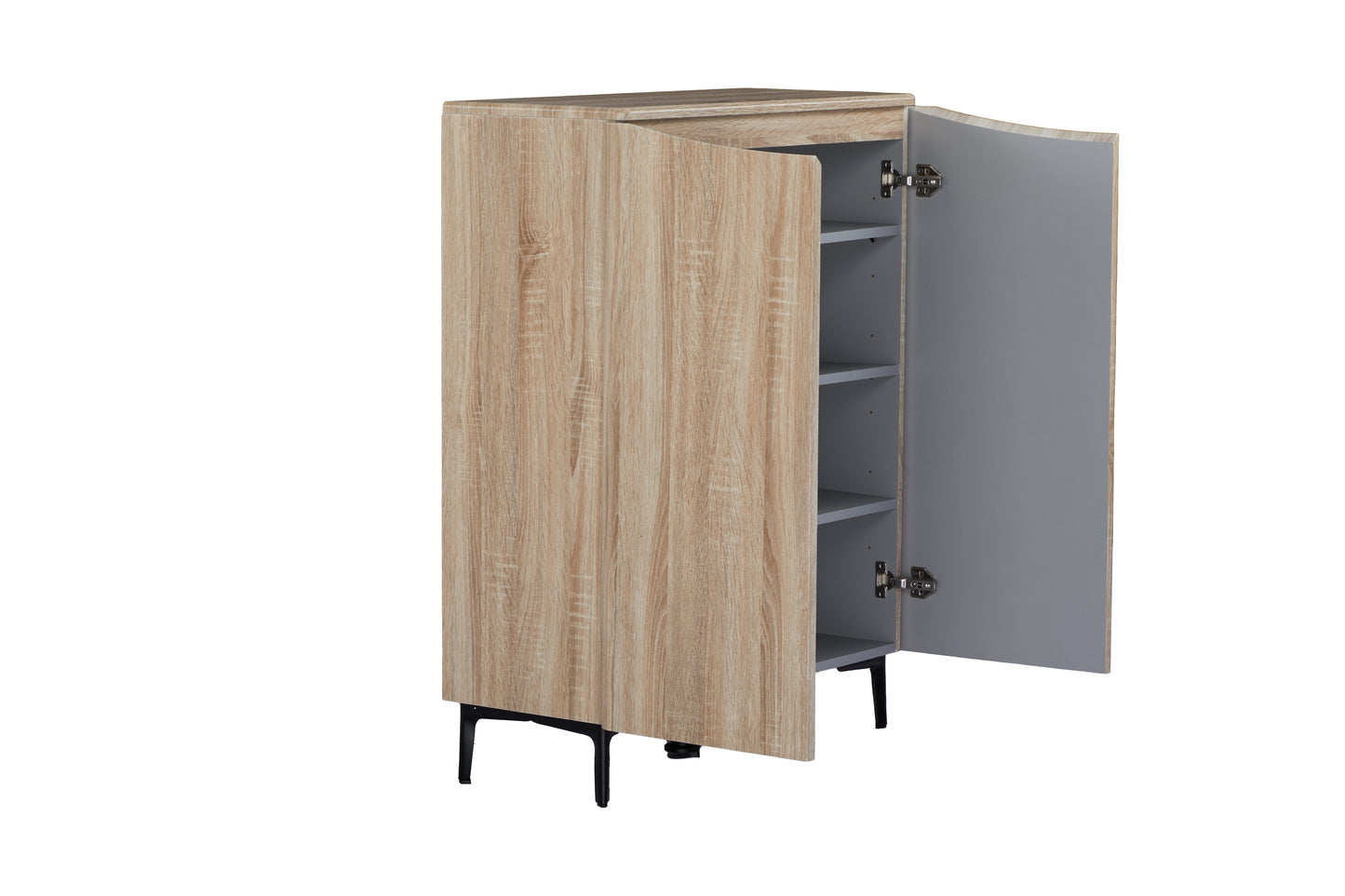 Zarelia Modern Shoe Storage Cabinet