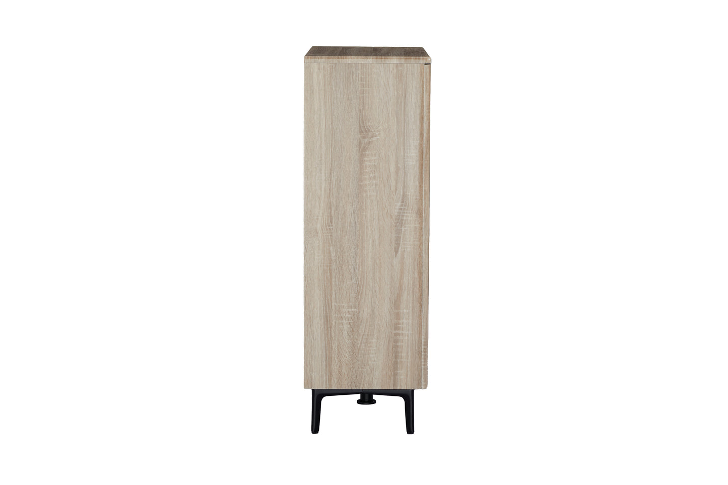 Zarelia Modern Shoe Storage Cabinet