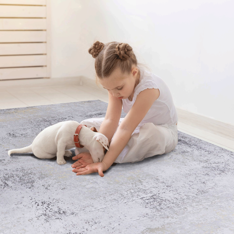 NAAR MAVAL Gray & Gold 5x8 Area Rug, Living Room, Washable