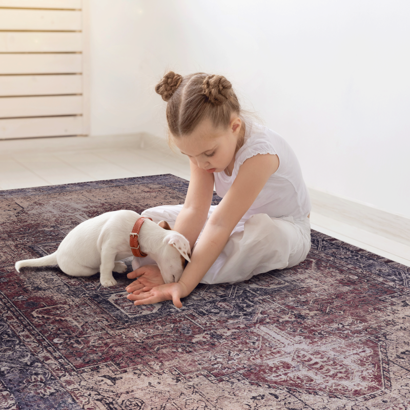 NAAR MAVAL Modern Burgundy Entryway Doormat, Washable