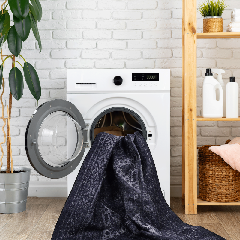 NAAR MAVAL Modern Area Rug for Living Room, Washable 9x12