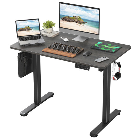 STARY Modern Electric Standing Desk Home Office Sit-Stand