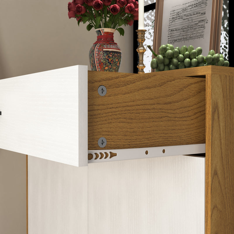 Modern Shoe Cabinet for Entryway with Adjustable Shelves
