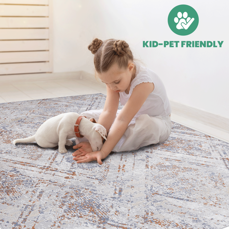 NAAR PAYAS Geometric Area Rug for Living Room, Easy-Care 5x7