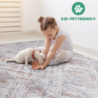 NAAR PAYAS Geometric Area Rug for Living Room, Easy-Care 5x7