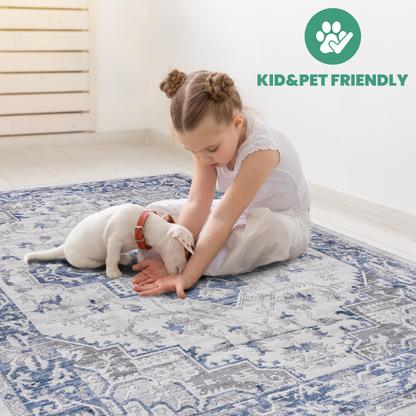 Classic Oriental 5x7 Living Room Rug by NAAR MARFI