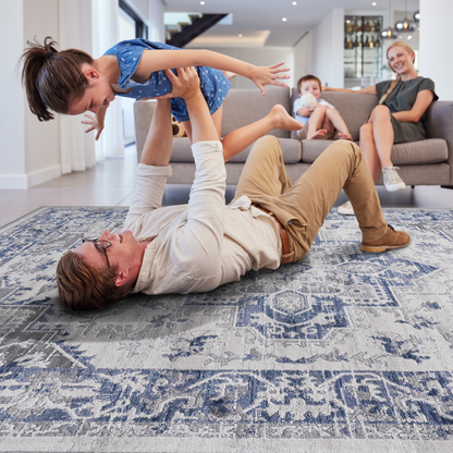 Classic Oriental 5x7 Living Room Rug by NAAR MARFI
