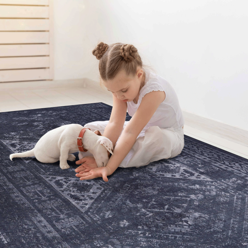 NAAR MAVAL Modern Area Rug for Living Room, Washable 9x12